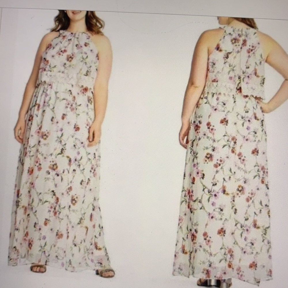 Adrianna Papell Bonita Floral Maxi Dress 22W